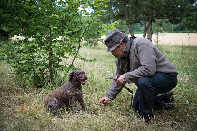 Discovery of the World of Truffles and Tasting - Pricing and Cancellation Policy