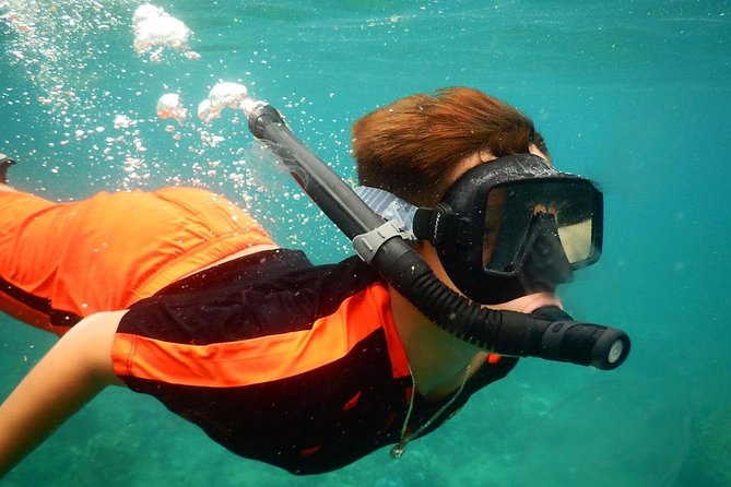 Discovery Scuba Diving & Snorkeling at Nha Trang Bay - Reviews and Ratings