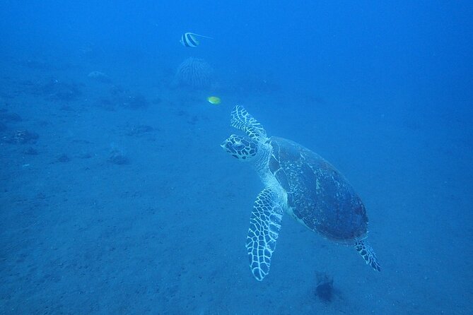 Diving in Tulamben - Medical Considerations