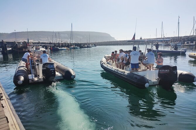 Dolphin Watching and Boat Tour in Sesimbra - Tour Duration and Scheduling