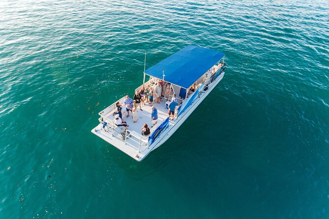 Dolphin Watching and Snorkeling Adventure in Key West - Booking Information