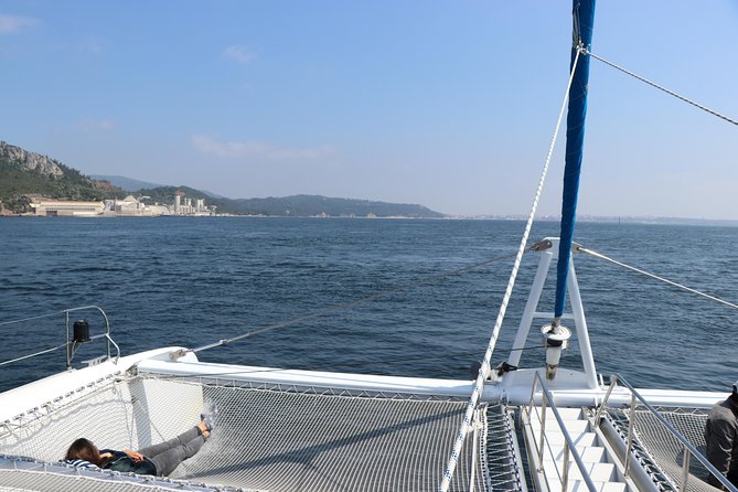 Dolphin Watching Tour by Catamaran From Lisbon - Departure and Transportation