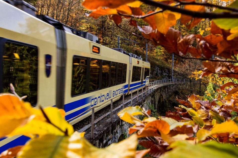 Domodossola: Centovalli Train & Valle Vigezzo Museums Ticket - Museums Included