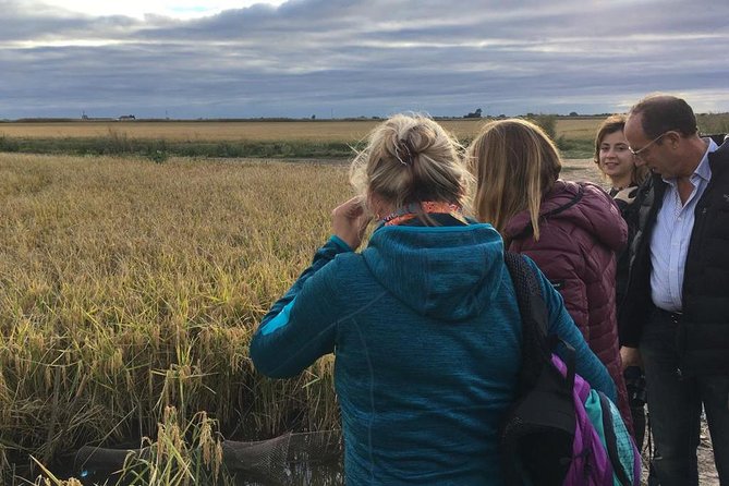 Doñana National Park and El Rocío: Guided Tour From Seville - Itinerary