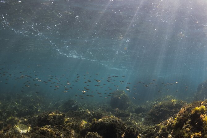Double Discover Scuba Diving - Customer Reviews and Ratings