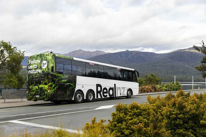 Doubtful Sound Wilderness Cruise From Te Anau - Pricing and Booking Details