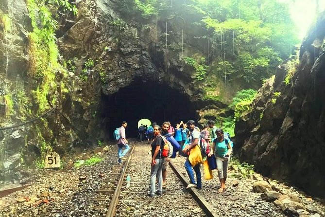 Dudhsagar- The Other Side of GOA - User Ratings and Reviews