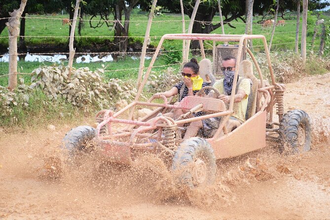 Dune Buggy ATV Tour in Punta Cana With Pickup - Traveler Experiences and Feedback