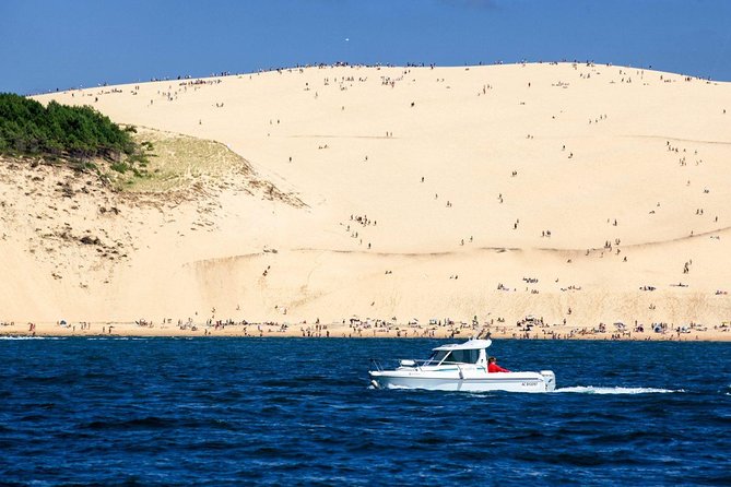 Dune Du Pilat and Oysters Tasting in Only 1 Hour Away From Bordeaux ! What Else? - Customer Experiences and Testimonials