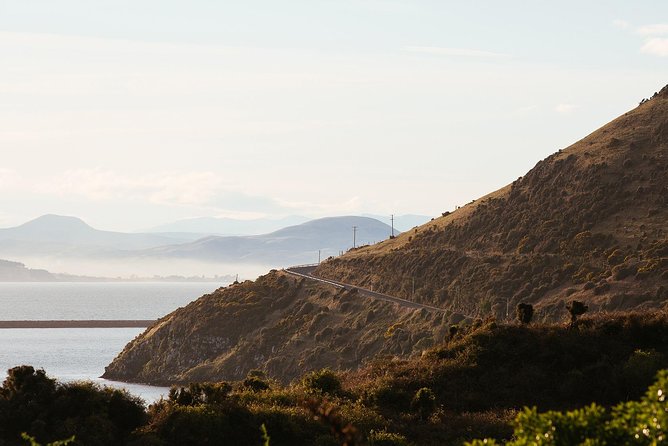 Dunedin Castle to Cruise Tour - Tour Accessibility Details