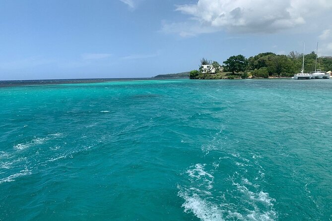 Dunns River Falls Party Cruise, Blue Hole With Snorkeling, Free Beverages - Essential Tips for Travelers