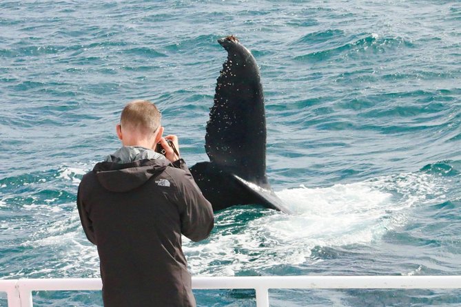 Dunsborough Whale Watching Eco Tour - Customer Experiences and Ratings