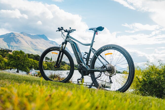 E-Bike Adventures Through the Wineries in Gibbston - Health Considerations