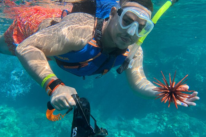 E-Scooter Snorkel With Photo and Video At Turtle Town - Booking Process