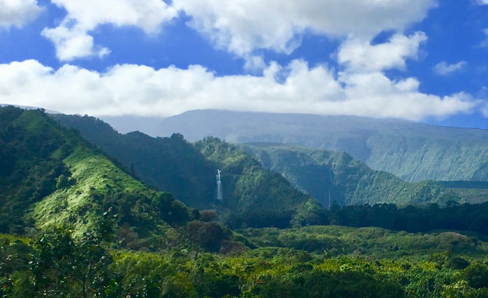 East Maui: Private Rainforest or Road to Hana Loop Tour - Activity Description: East Maui Rainforest Tour