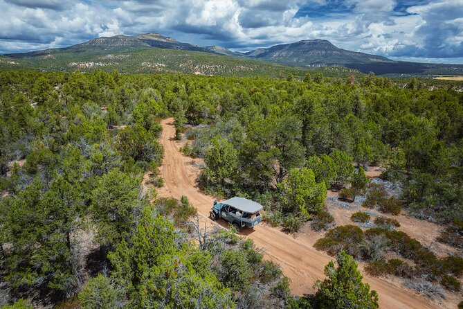 East Zion East Rim Jeep Tour - Meeting Location and Accessibility