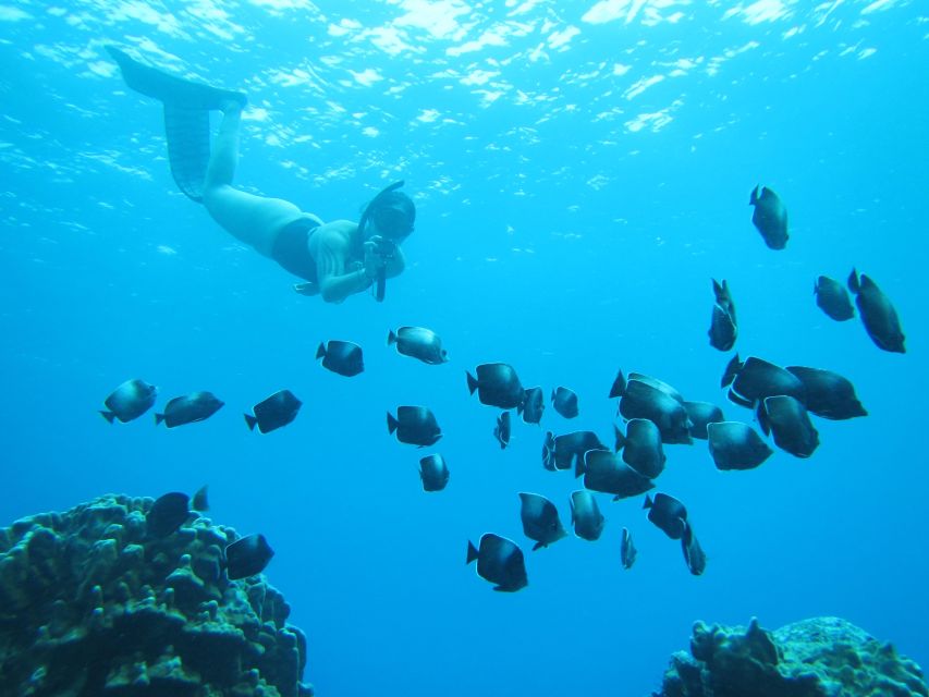 Easter Island: Snorqueling Tour on Coral Reefs - Whats Included in the Tour