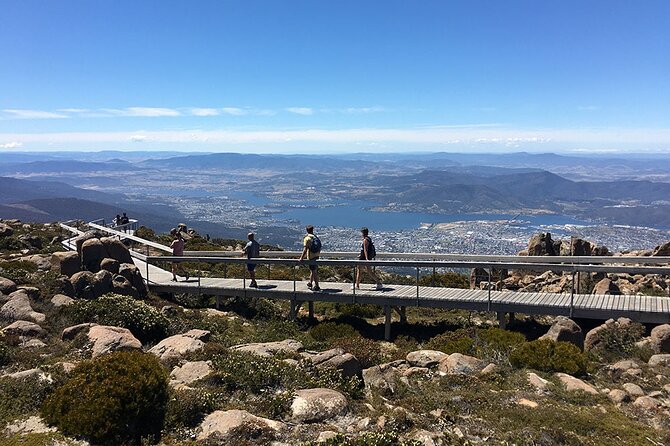 Easy Bike Tour - Mt Wellington Summit Descent & Rainforest Ride - Accessibility and Support