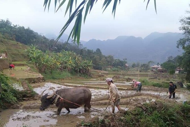 Easy Rider-Motorbike Tour-3 Days From Dalat to Nha Trang - What to Expect on the Tour