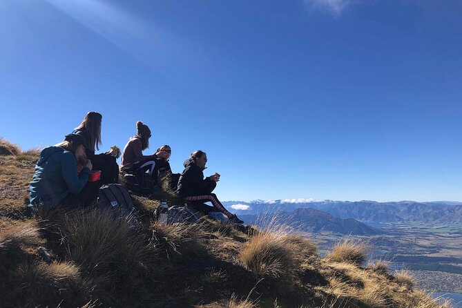 Ebike Tour Lake Hawea River Track to Wanaka - Guest Feedback and Reviews