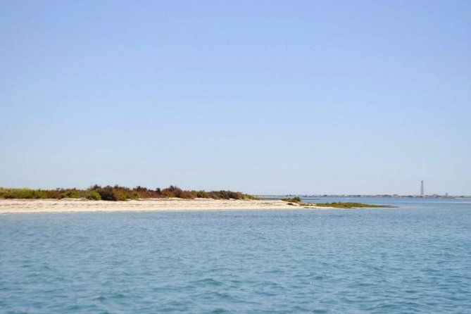 Eco Boat Tour in the Ria Formosa Lagoon From Faro - Meeting Point and Logistics