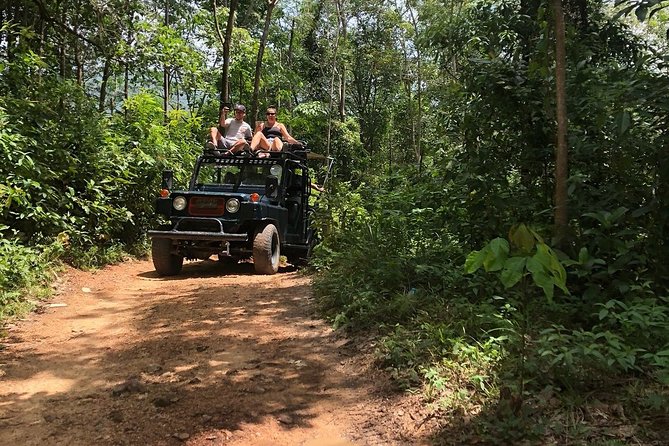 Eco Jungle Safari Tour Around Koh Samui Including Lunch - Cancellation Policy