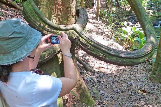 Ecological Walk in Sao Paulo - Tips for Participants