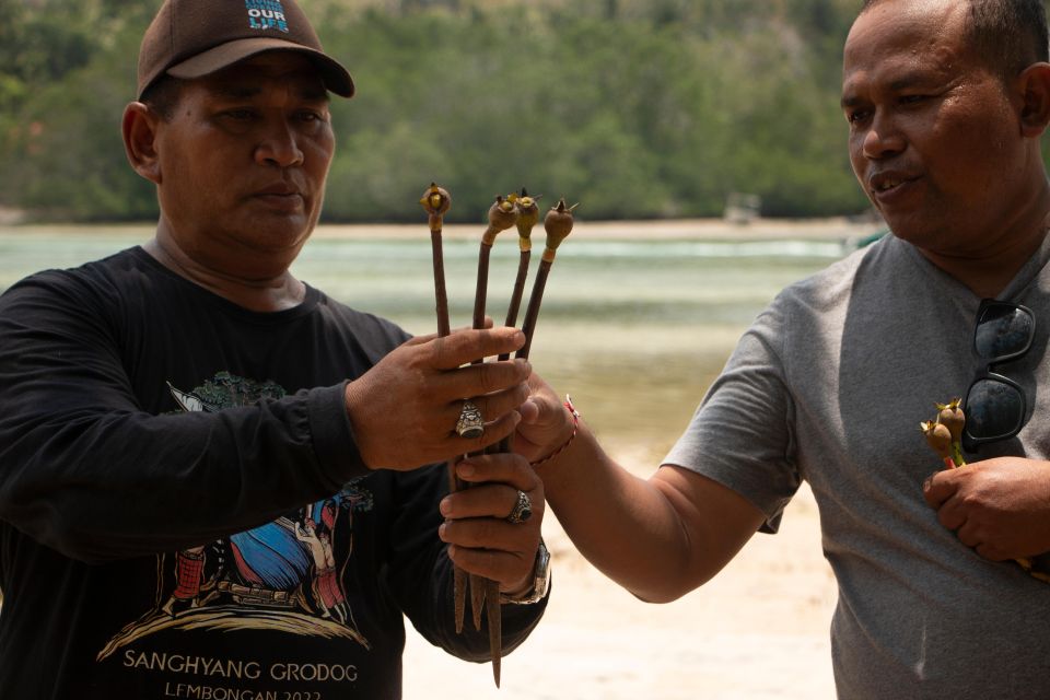 Ecotourism: Mangrove Reforestation & Tour - Exploring by Boat