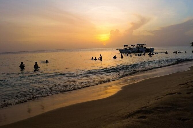 El Yunque Hike, Waterslide, Beach & Cuisine With Transport - Activities and Experiences