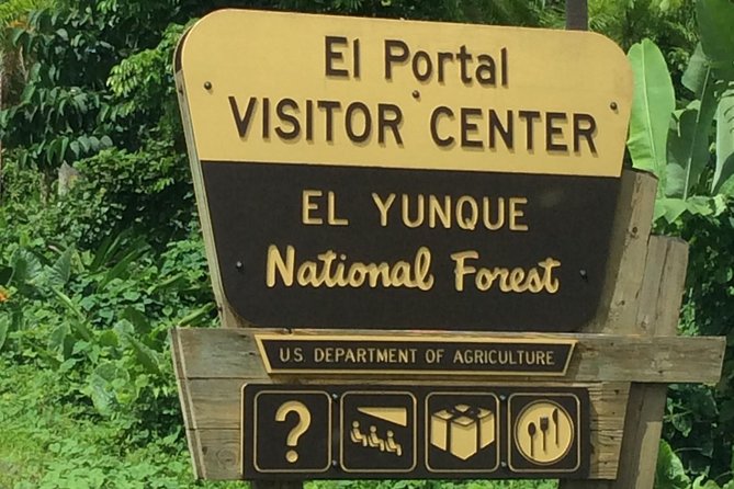 El Yunque Rainforest Hiking Tour From San Juan - Participant Requirements and Recommendations