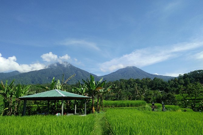 Electric Bicycle Tour in Jatiluwih UNESCO Site - Meeting and Pickup Details