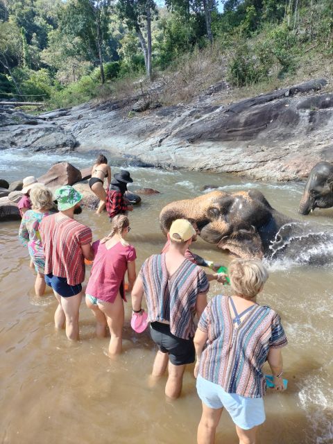 Elephant Care and Grand Canyon Jumping - Lunch at Local Restaurant