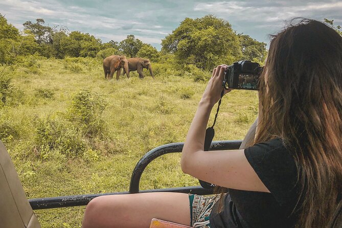 Ella to Mirissa Shuttle & Safari Drive - Booking Recommendations