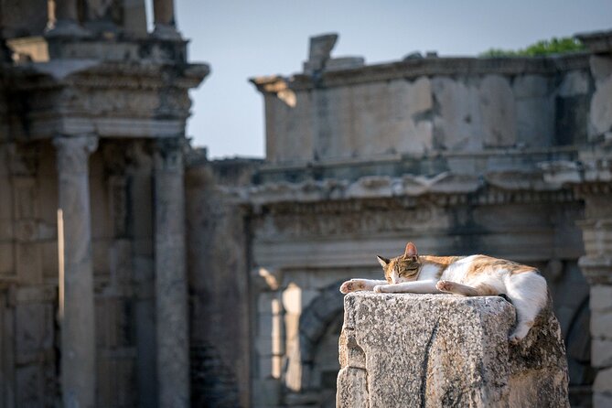Ephesus Small Group - Semi Private Shore Excursion - Tour Details