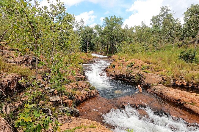 ETHICAL ADVENTURES - 1 Day Premium Litchfield Tour, Max 10 Guests - Guest Feedback and Reviews