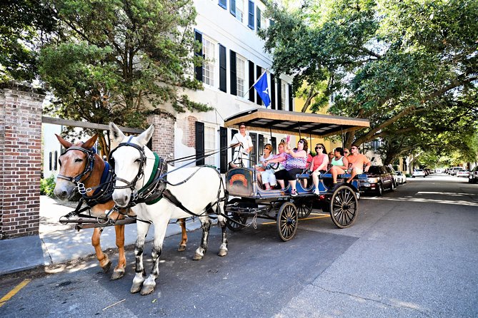 Evening Horse-Drawn Carriage Tour of Downtown Charleston - Historical Sites Included