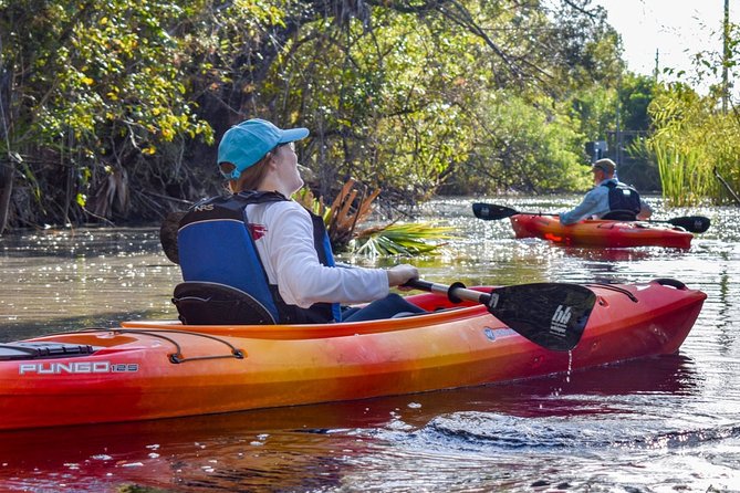 Everglades Guided Kayak Tour - Guest Reviews and Feedback