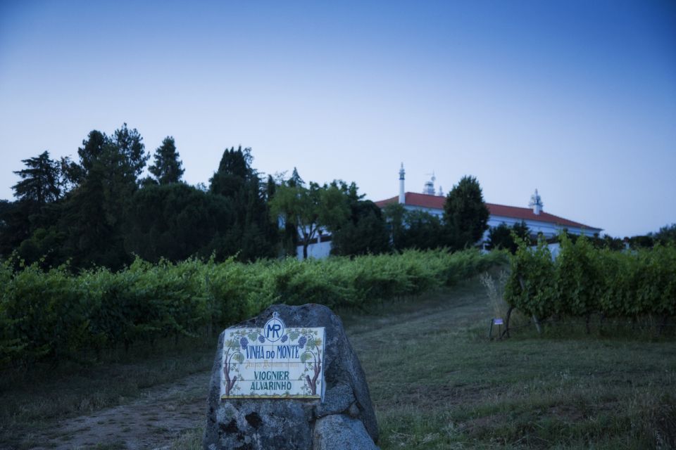 Évora: Full-Day Wine Tour - Discovering Évoras Landmarks