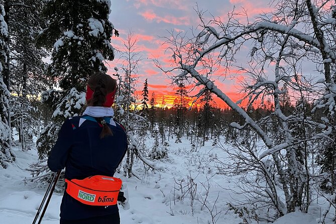 Experience Cross-Country Adventure in Tromsø - Participant Experience and Reviews