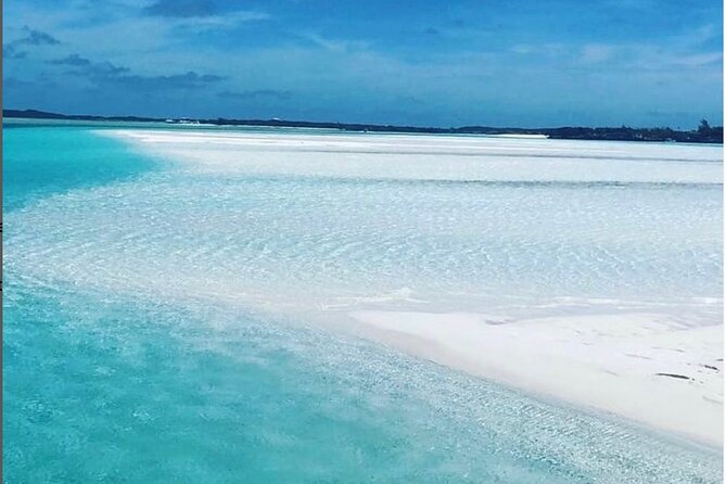 Experience The Exumas and the World Famous Swimming Pigs - Health and Safety Guidelines