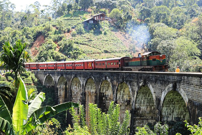 Explore the Best of Ella. Hiking, Waterfalls and Cultural Tour - Cultural Experiences in Ella