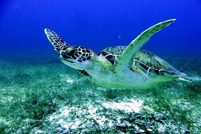 Fajardo Afternoon Snorkeling Adventure Tour - Directions to Meeting Point