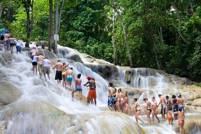 Falls Flyer Zipline and Dunns River Falls Adventure Tour From Ocho Rios - What to Expect