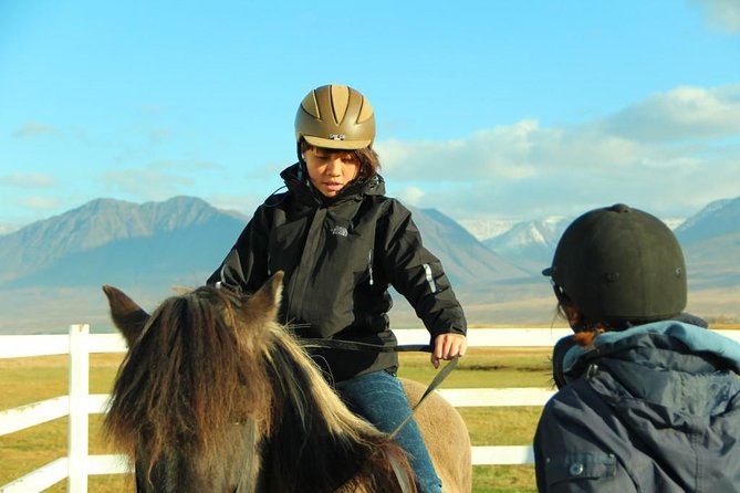 Family Friendly Horse Riding Tour in Skagafjörður - Health and Safety Guidelines