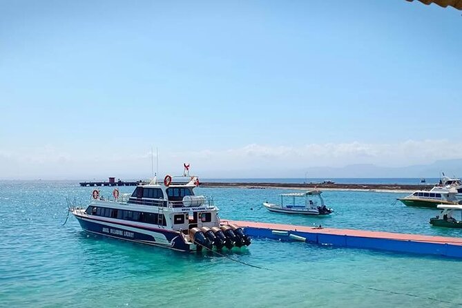 Fast Boat Transfer From Sanur to Nusa Penida by Penidago - Departure Time Options