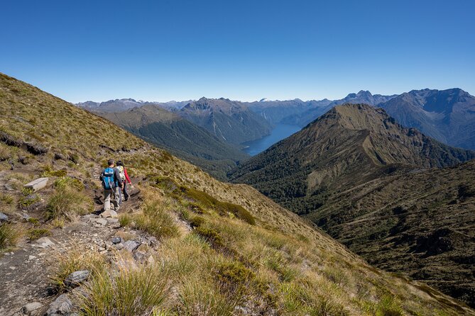 Fiordland Heli-hike - Inclusions and Pricing