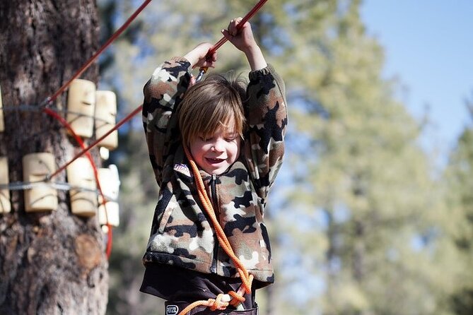 Flagstaff Extreme Adventure Course-Adult Course - Accessibility Information