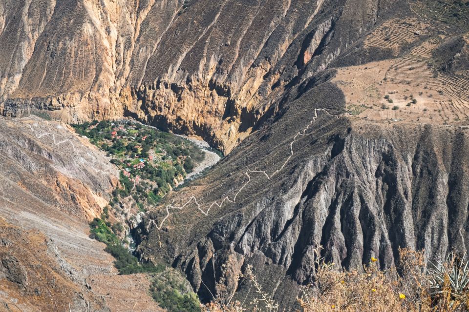 Flight of the Condor - Cabanaconde - Customer Feedback
