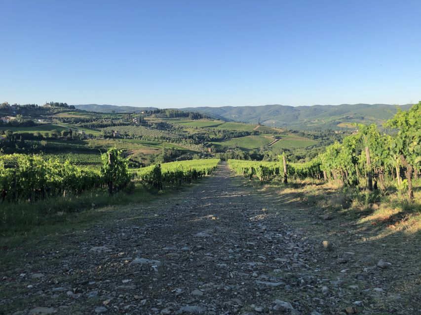 Florence: Tuscany & Chianti Classico Wine & Hike With Lunch - Winery Visits and Tastings