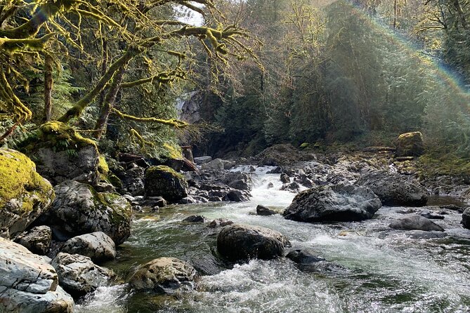 Forest Hike to Gorgeous Twin and Snoqualmie Falls - Traveler Experiences